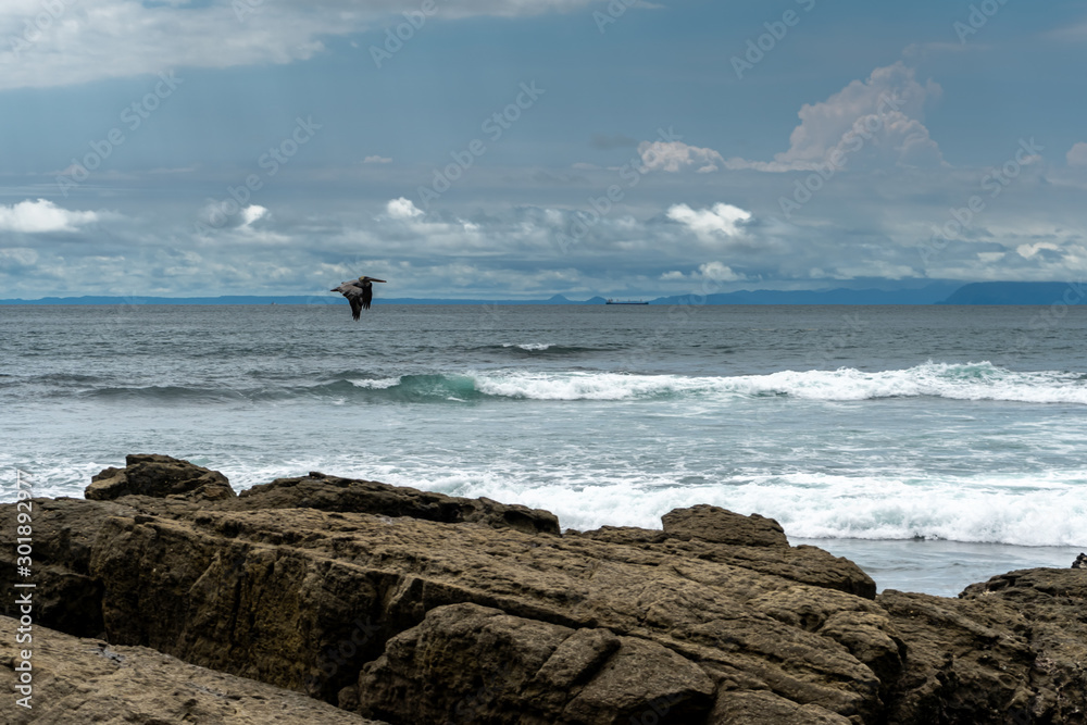 Beautiful view of a pelican flying close to the ocean 