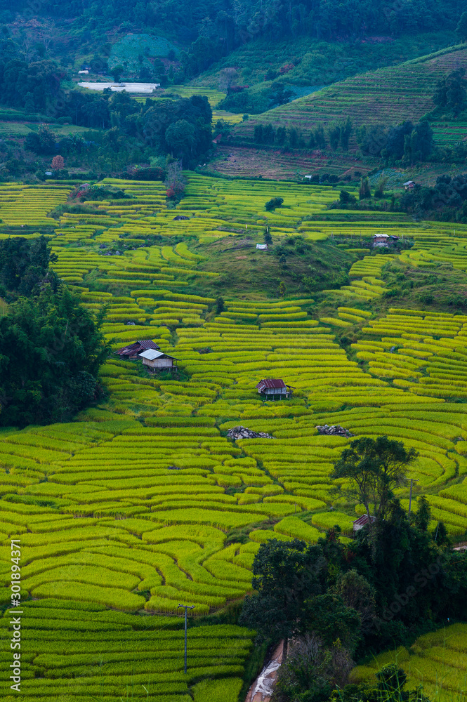 Obraz premium beautiful landscape view of rice terraces 