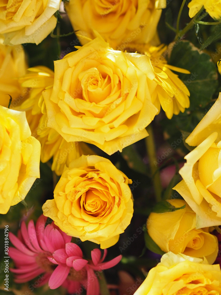 Rose Flower Yellow color arrangement Beautiful bouquet on blurred of nature background Rose Flower Yellow color arrangement Beautiful bouquet on blurred of nature background