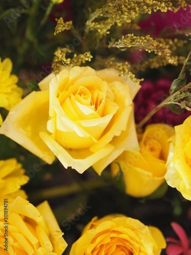 Rose Flower Yellow color arrangement Beautiful bouquet on blurred of nature background