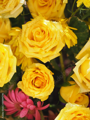 Rose Flower Yellow color arrangement Beautiful bouquet on blurred of nature background
