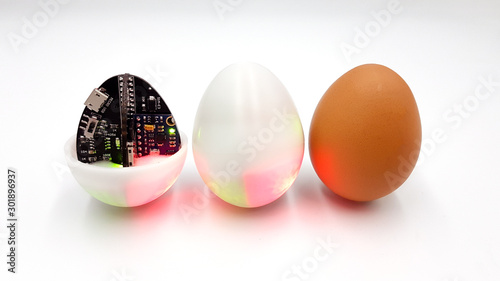 Concept of the evolution of eggs from nature to digital technology