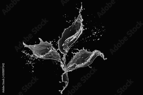 Water Splash Isolated on Black Background