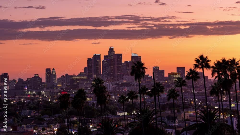 Downtown Los Angeles, California and Palm Trees at Sunset With Panning