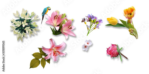 Flower Watercolor flowers    suitable for wallpaper design