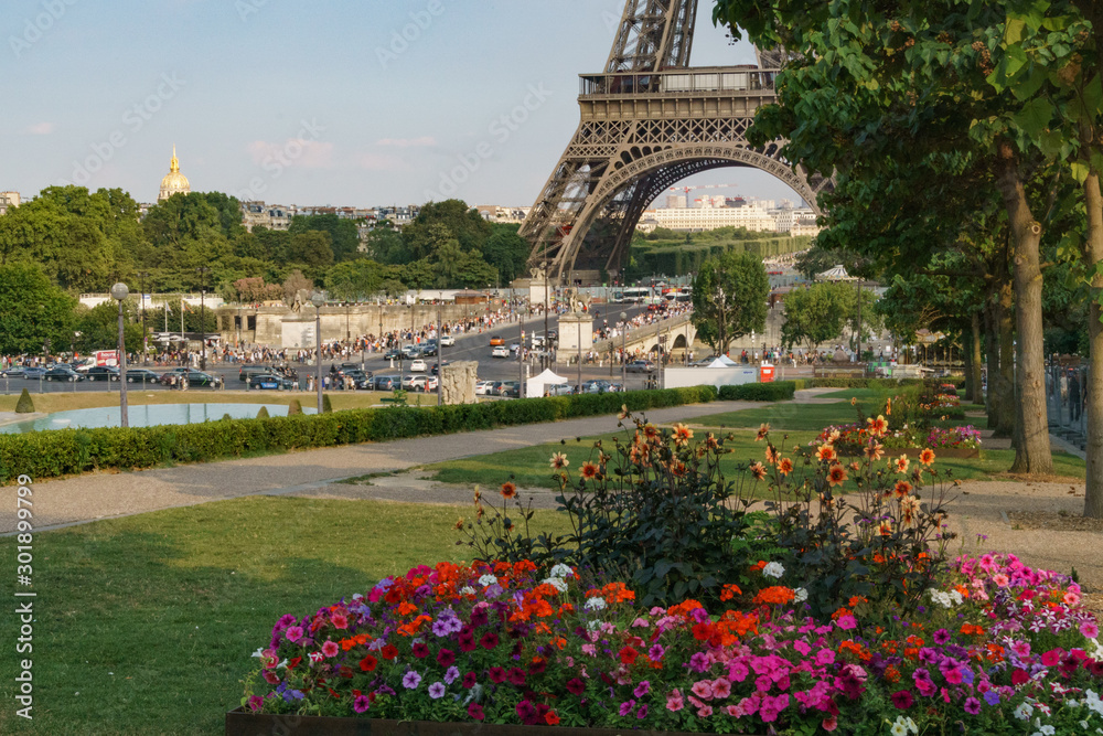 Pink flowers bed in trocadero with the eiffel tower in the background