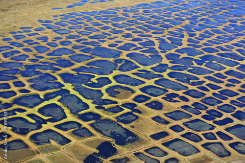 Polygonal tundra landscape in summer, Taymyr peninsula, aerial view