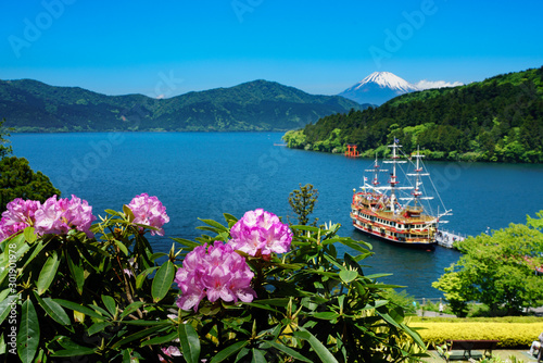 満開のバラと新緑の芦ノ湖の遊覧船と富士山
