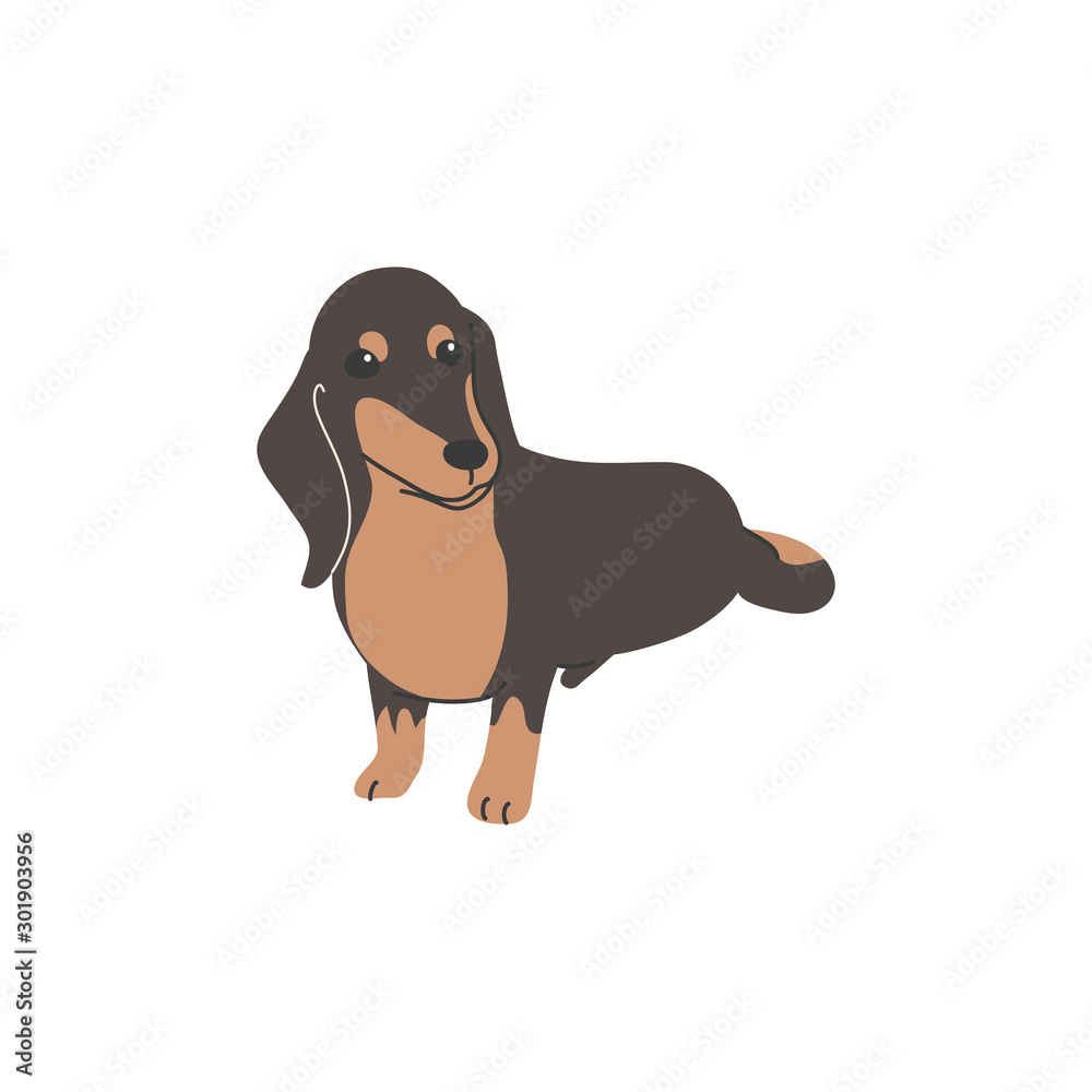 犬 ポーズ 表情 １匹 ミニチュアダックスフンド おすわり Stock Vector Adobe Stock