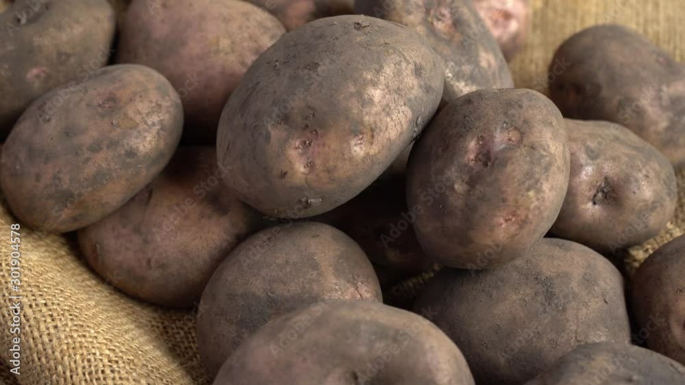 Pile of dirty potatoes rotating on a jute mat Pile of dirty potatoes rotating on a jute mat