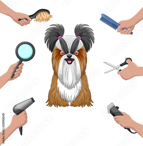 Dog grooming collection set cartoon