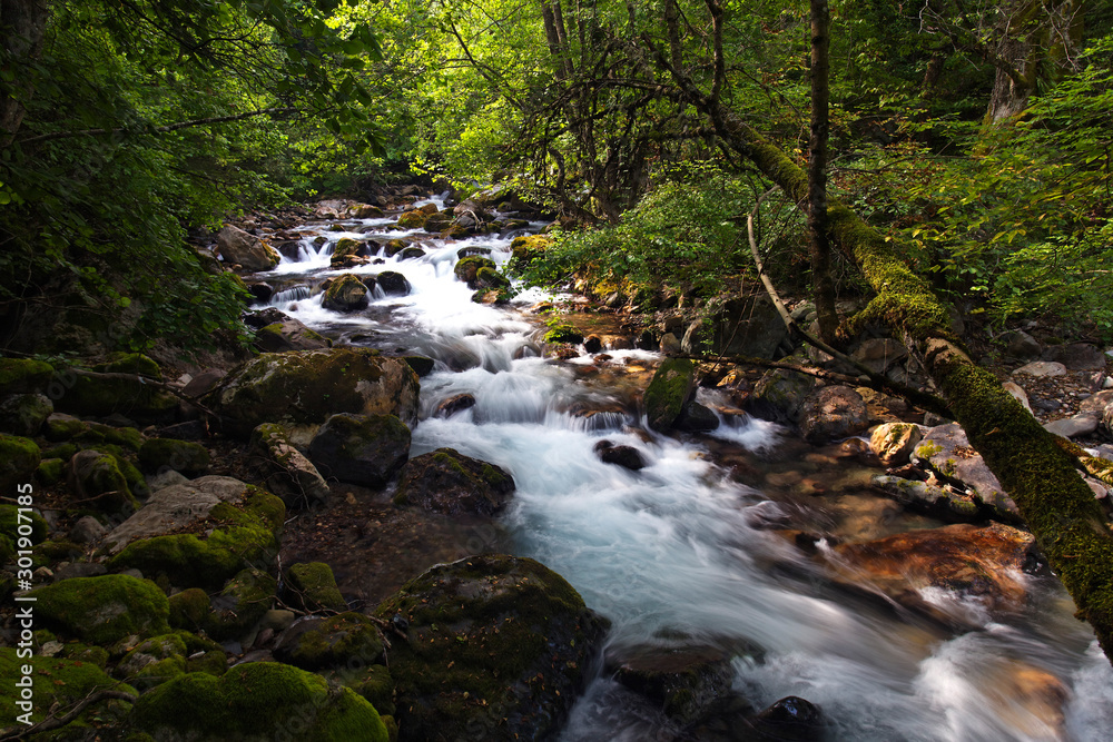 The Garska Reka river in Mavrovo National Park, Macedonia The Garska Reka river in Mavrovo National Park, Macedonia