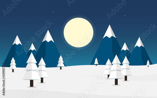 Night winter landscape with snow, tree and mountain