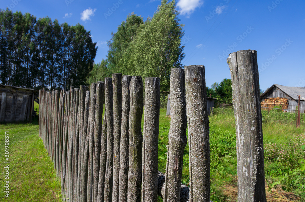 Plain mossy wooden fence in the typical old Russian style on a clear summer day