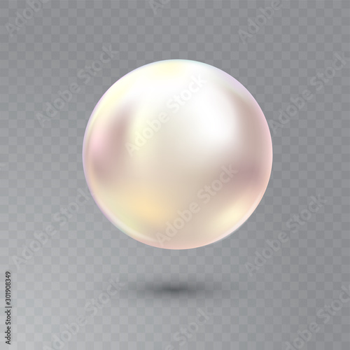 Vector illustration of single shiny natural white sea oyster pearl with light effects isolated on transparent background. Beautiful 3D shining realistic pearl for luxury accessories.