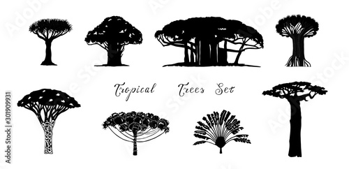 Set of tropical vector trees