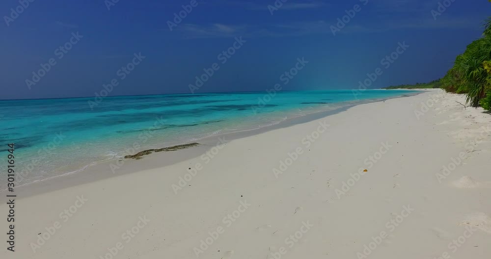 deserted tropical island with crystal clear ocean , Fiji Island Group panement