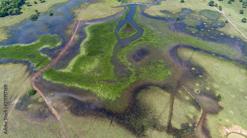 Amazing aerial view of typical Pantanal wetlands landscape crossed by dirt roads with lagoons  rivers  meadows and trees  Mato Grosso  Brazil