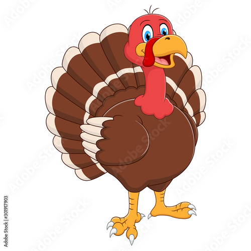 Cartoon turkey standing on white background