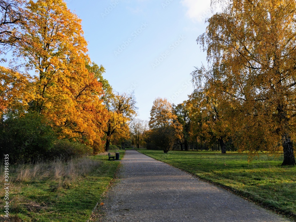 autumn in the park