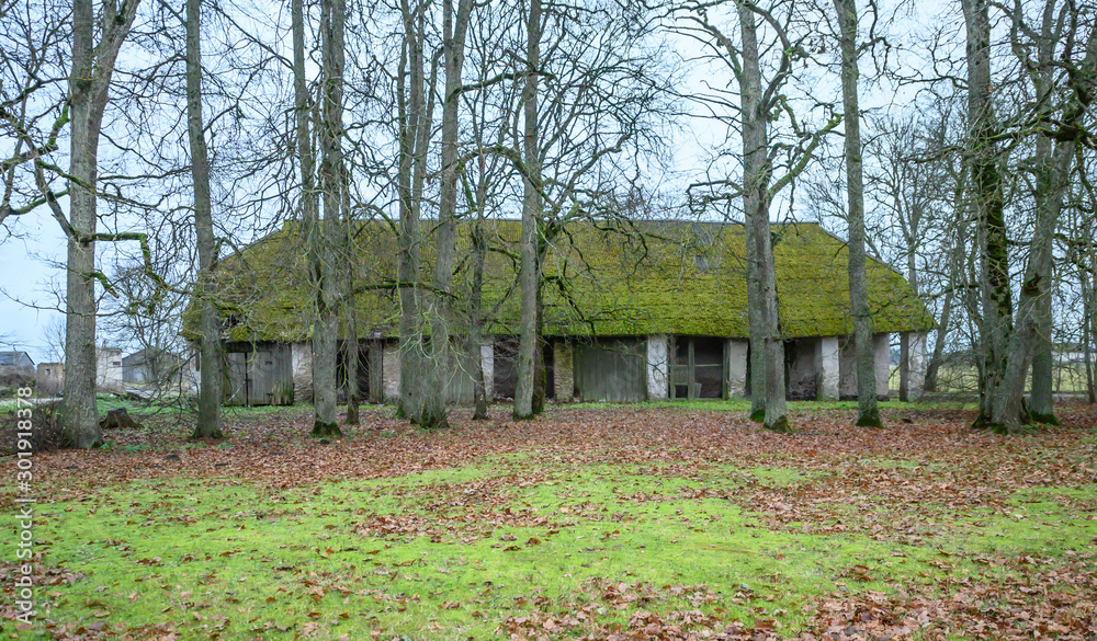 old house with moss in the roof old house with moss in the roof