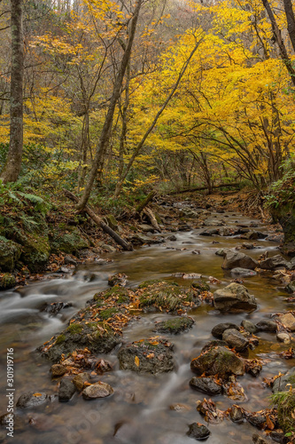 Tatsuzawafudo waterfall in autumn Fall season at Fukushima. There is the waterfall in inawashiro, Fukushima, Japan. photo