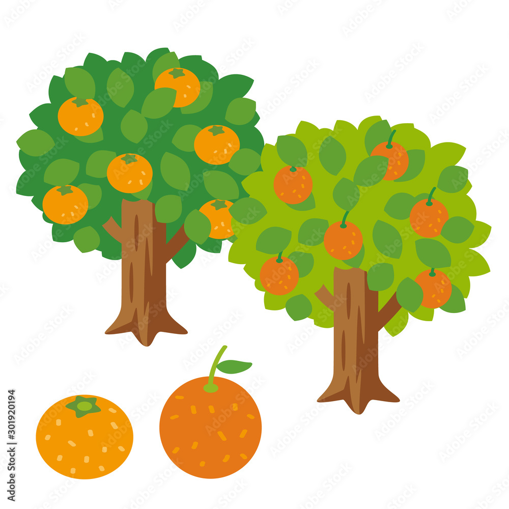 みかんの木 オレンジの木 Stock ベクター Adobe Stock