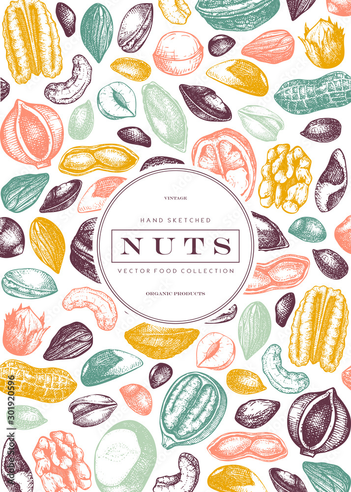 Vector nuts frame design. Hand drawn pecan, macadamia, pine nuts, walnut, almond, pistachio, chestnut, peanut, brazil nut, hazelnut and cashew. Healthy food background. Engraved style nuts and seeds. Vector nuts frame design. Hand drawn pecan, macadamia, pine nuts, walnut, almond, pistachio, chestnut, peanut, brazil nut, hazelnut and cashew. Healthy food background. Engraved style nuts and seeds.