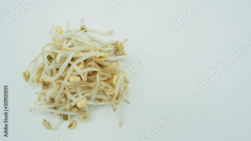 Bean sprouts isolated on white background.