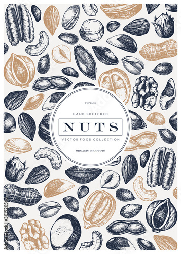 Vector nuts frame design. Hand drawn pecan, macadamia, pine nuts, walnut, almond, pistachio, chestnut, peanut, brazil nut, hazelnut and cashew. Healthy food background. Engraved style nuts and seeds.