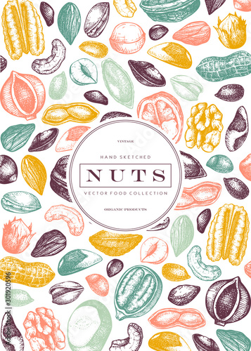 Vector nuts frame design. Hand drawn pecan, macadamia, pine nuts, walnut, almond, pistachio, chestnut, peanut, brazil nut, hazelnut and cashew. Healthy food background. Engraved style nuts and seeds.