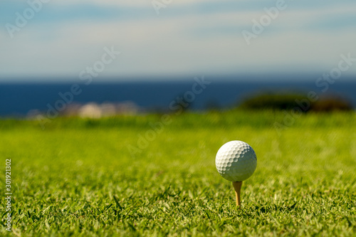 white golf ball on a tee with blurry background