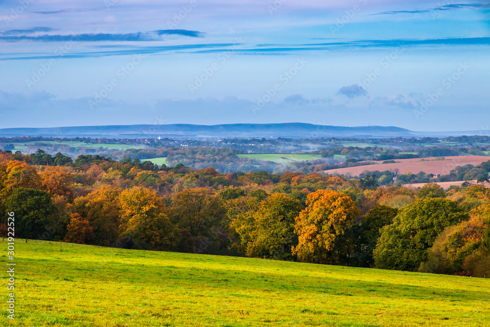Fototapeta premium Autumn view of the high weald and the distant south downs in East Sussex from Tent Hill