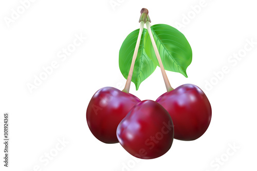 Cherries isolated on white background. Three ripe red cherry berries with leaves. Fresh fruit for label  emblems  advertising  sign boards. Photorealistic 3d effect icon. Vector illustration. EPS 10