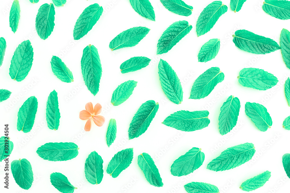 Green spearmint leaves. Green spearmint leaves.