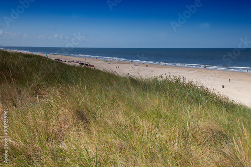 Dune landscape on the beach of Egmond North sea   Holland  Netherlands