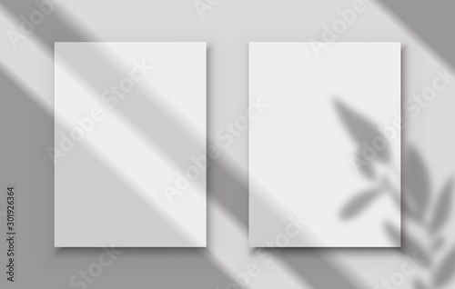Posters with shadow overlay. Two white blank image frames with transparent shadows of tropical leaves and window frame. Vector mockup