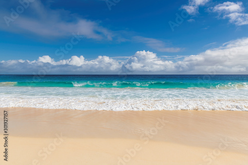 Fototapeta Naklejka Na Ścianę i Meble -  Beautiful sunny beach background