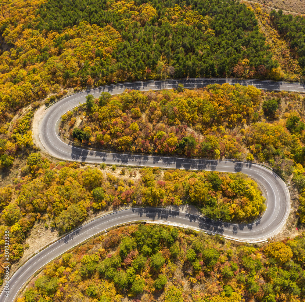 Road in forest at autumn season Road in forest at autumn season