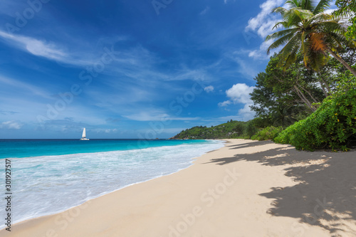 Tropical beach with palm trees and blue ocean in paradise island. 
