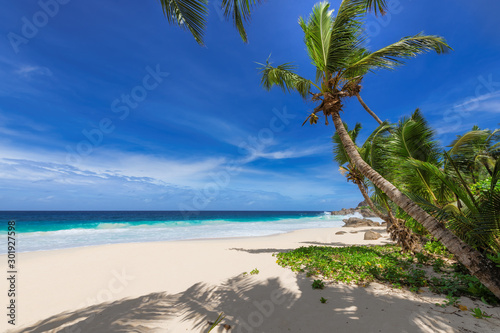 Fototapeta Naklejka Na Ścianę i Meble -  Palm trees on sunny beach and turquoise sea in Seychelles. Summer vacation and tropical beach concept.