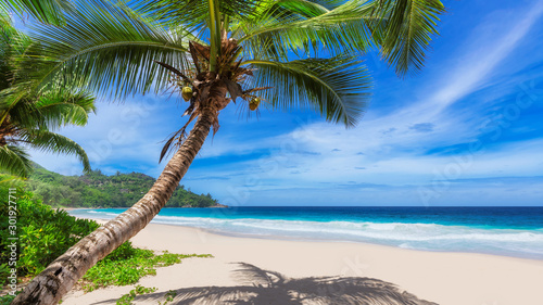 Tropical paradise beach background