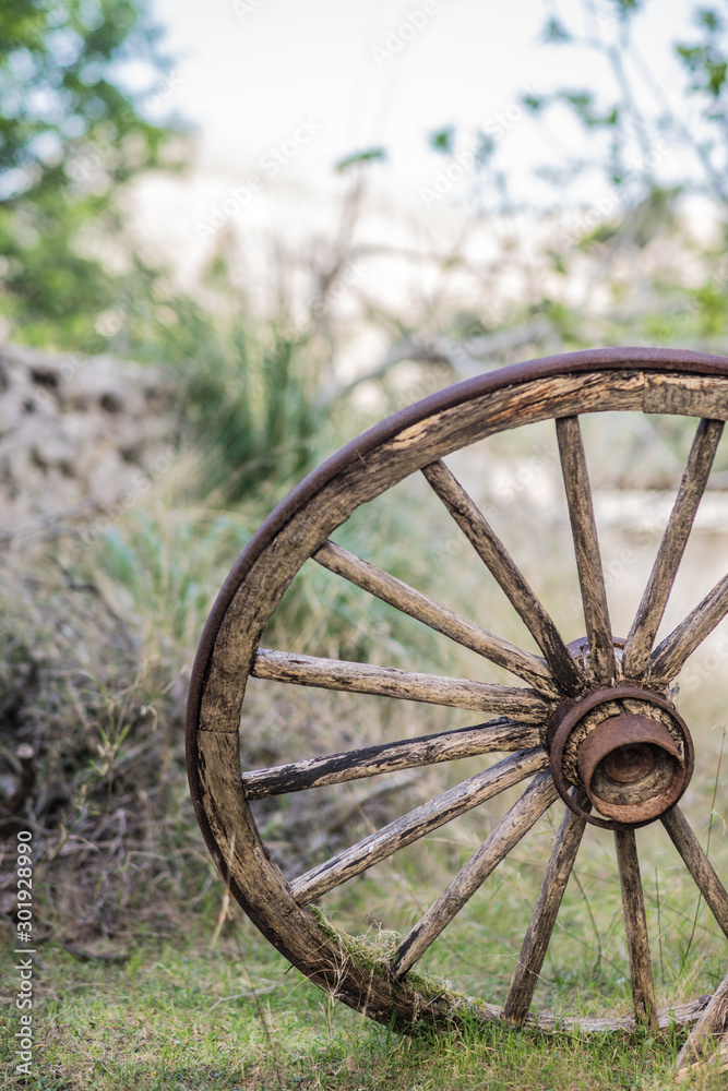 Mallorca Wandern Wagenrad am Wegrand Mallorca Wandern Wagenrad am Wegrand
