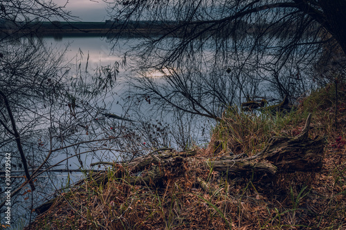 Wallpaper Mural Fading nature in autumn plants Torontodigital.ca