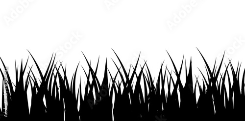 Set of Black Grass Silhouettes Isolated on White Background. Vector illustration.