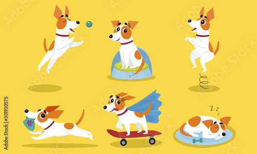 Cartoon Dog Character with Proper Behaviour Vector Set © Happypictures