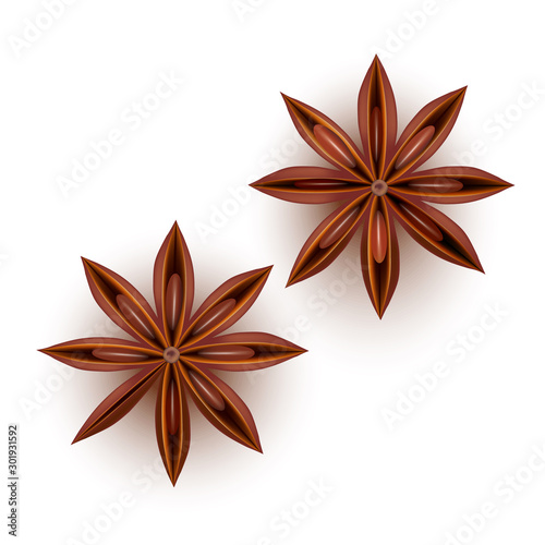 Realistic Detailed 3d Star Aniseed Set. Vector