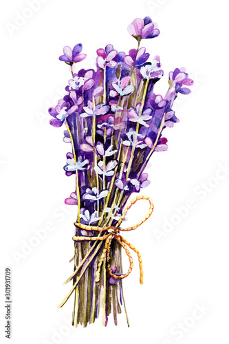A bouquet of lavender flowers, twigs tied with twine, tow. Hand drawn watercolor illustration for design of wedding concept, birthday, Valentine's day, greetings, invitations.