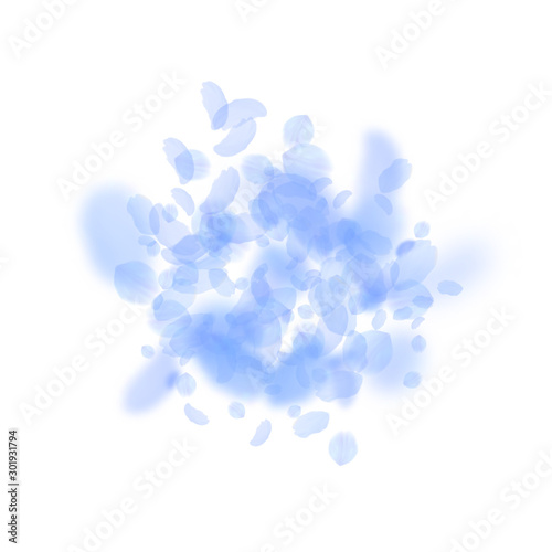 Dark blue flower petals falling down. Uncommon rom