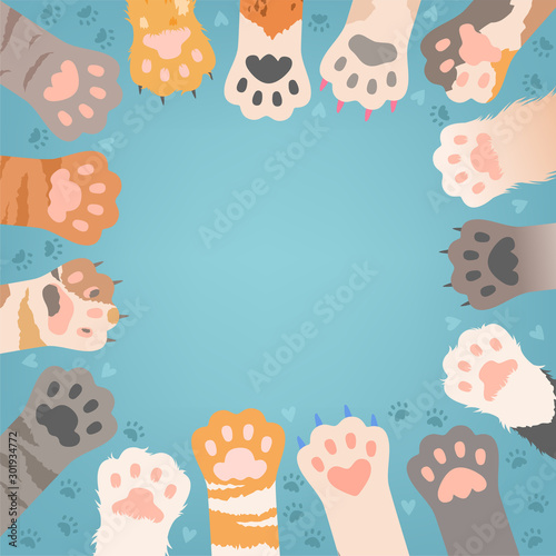 Photography Cats paw background